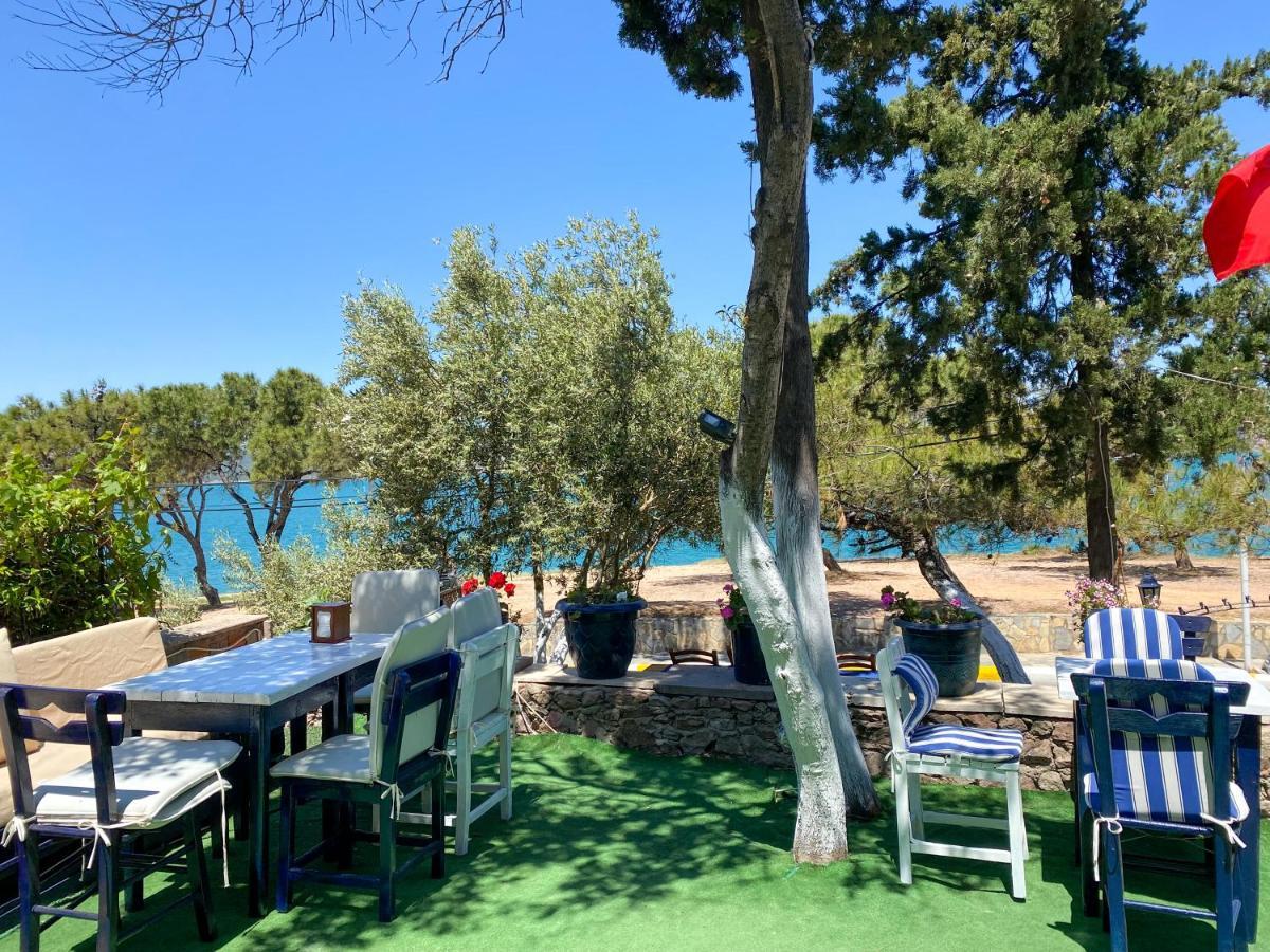 Lacivert Hotel Ayvalı Kültér fotó