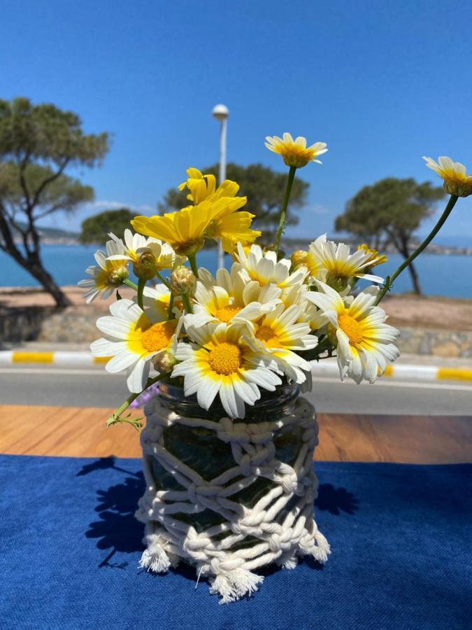 Lacivert Hotel Ayvalı Kültér fotó